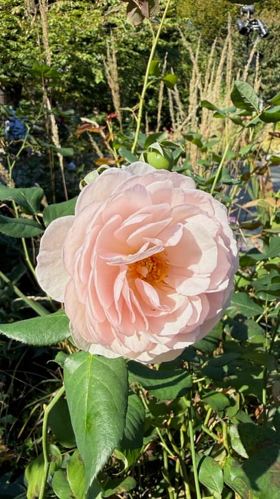 A Few Days in the Big City – Our NYC Adventure