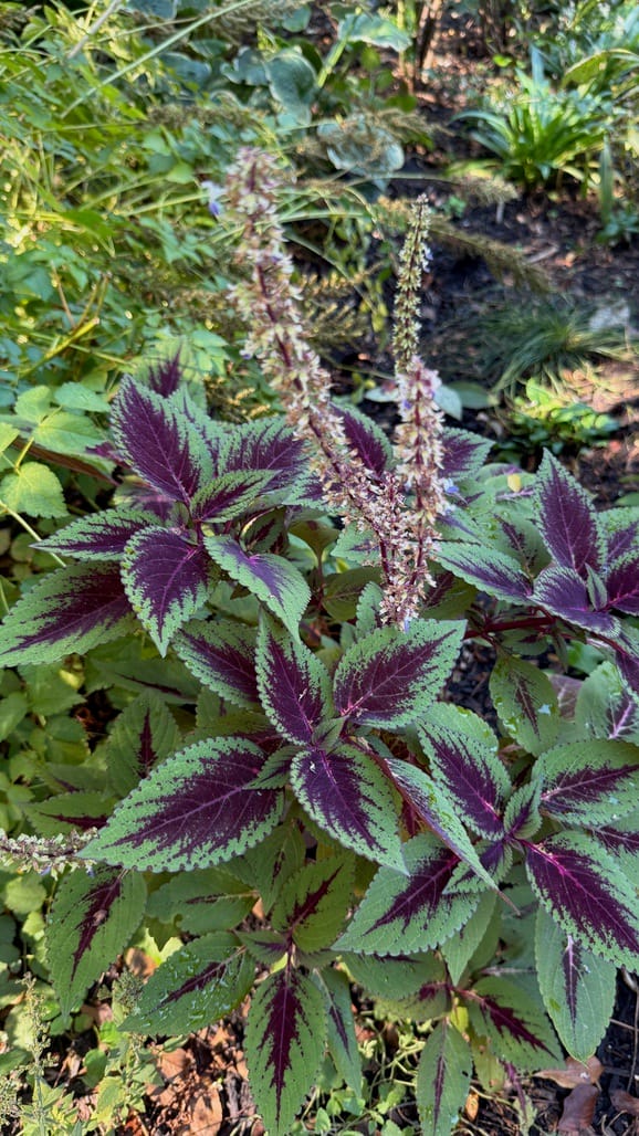 A Few Days in the Big City – Our NYC Adventure