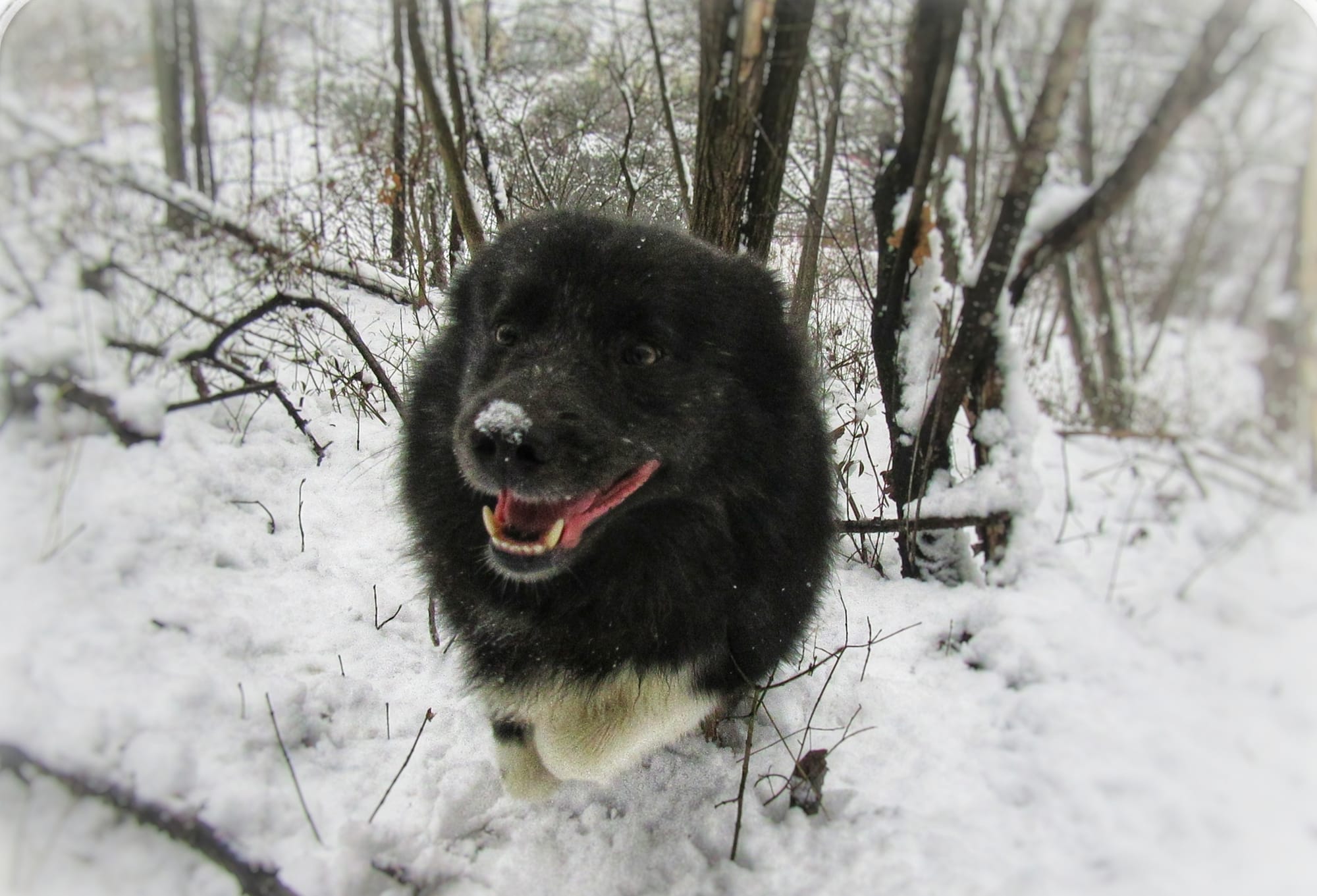 Pak me dan... als je kan!
