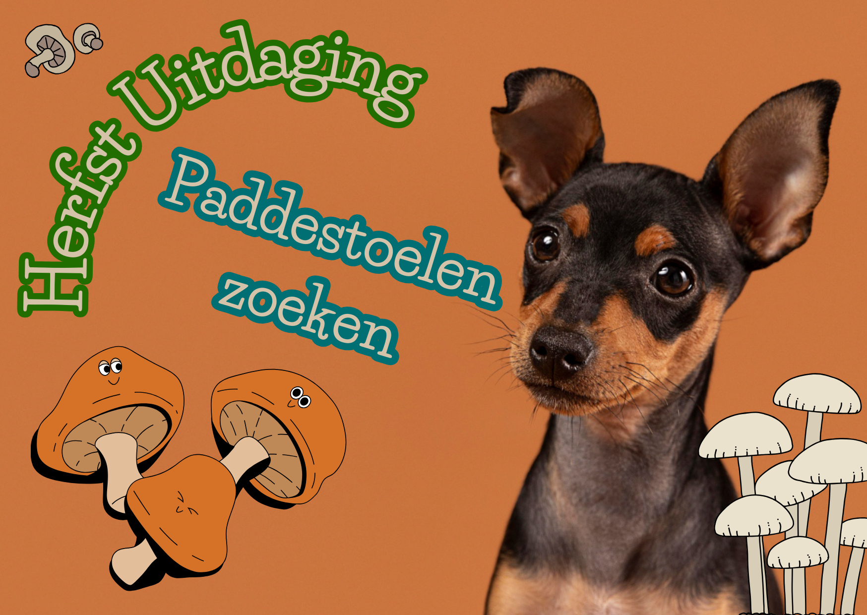 Herfst uitdaging: Paddenstoelen  zoeken