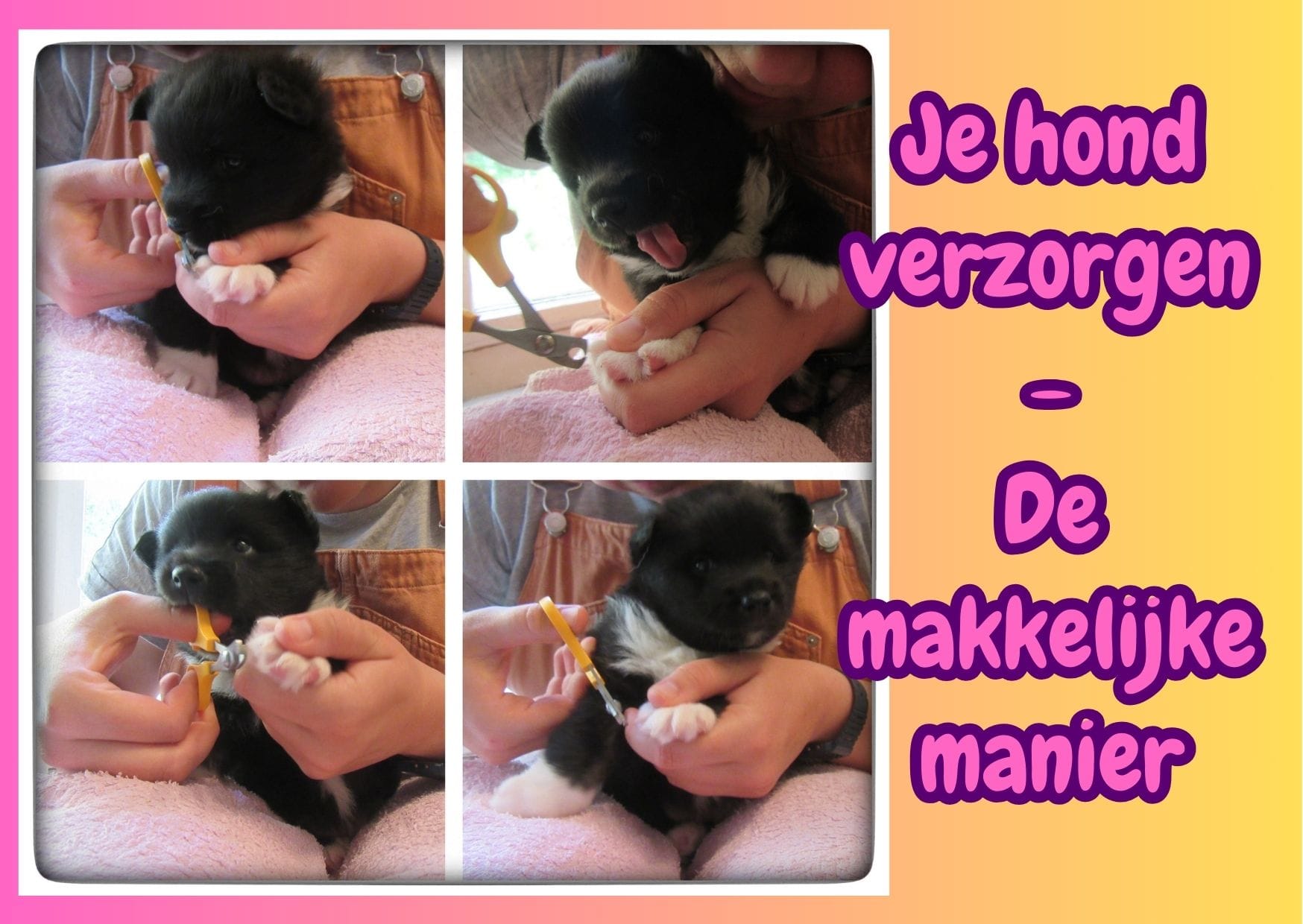 Je hond verzorgen - De makkelijke manier