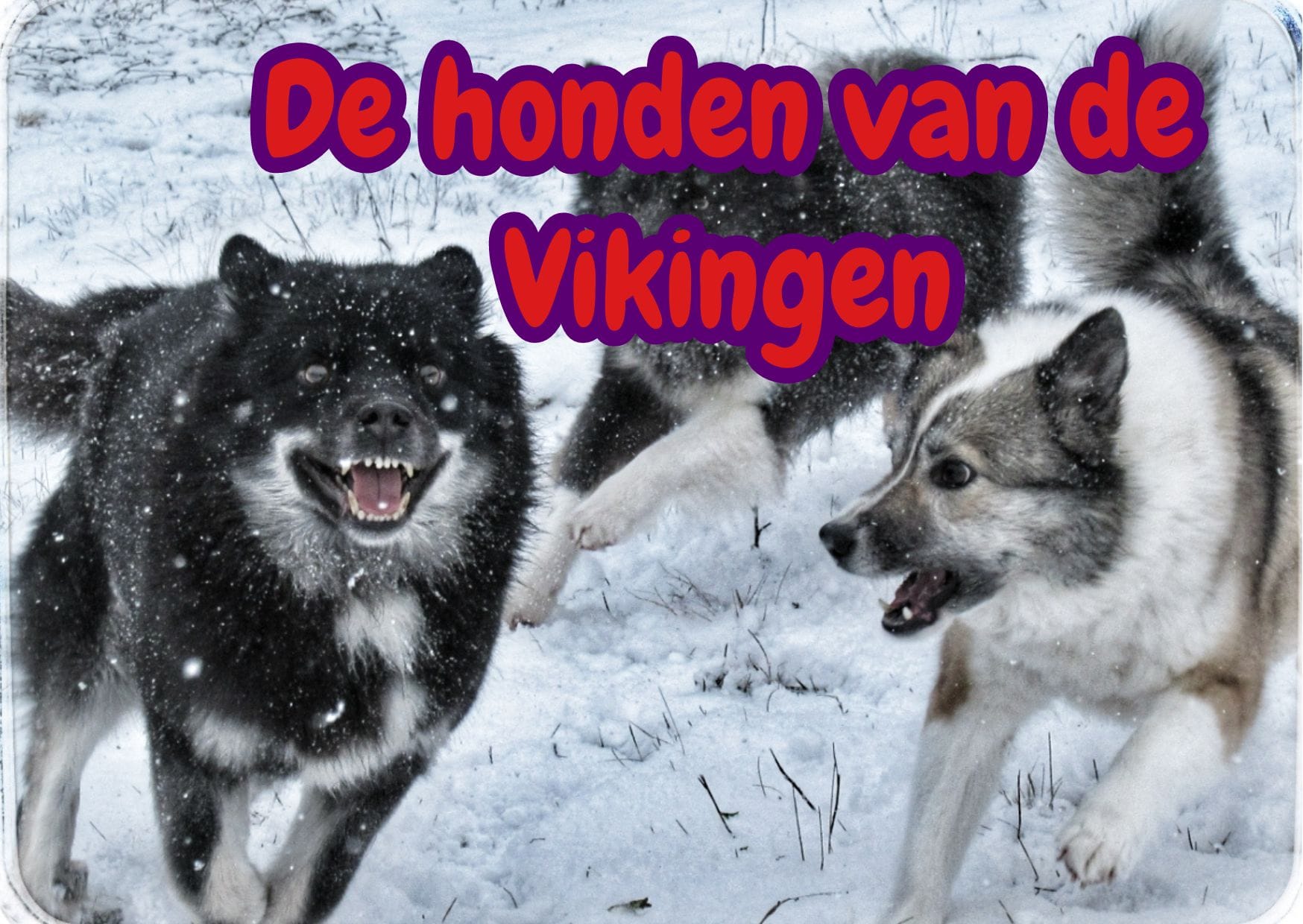 Vikinghonden