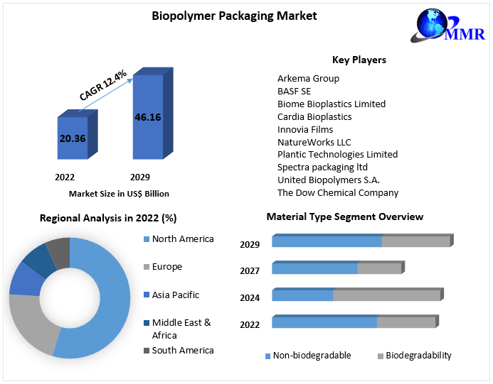 Green Packaging Goes Mainstream: Biopolymers Take Over the Market by 2029