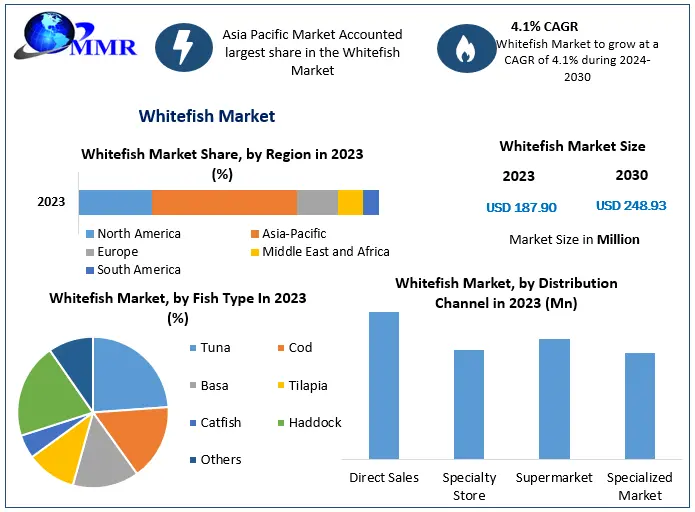 Whitefish Market Trends and Forecast 2024-2030