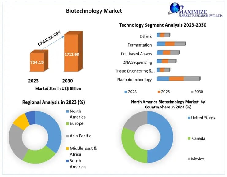 Market Opportunities in Biotechnology: A 2024-2030 Outlook