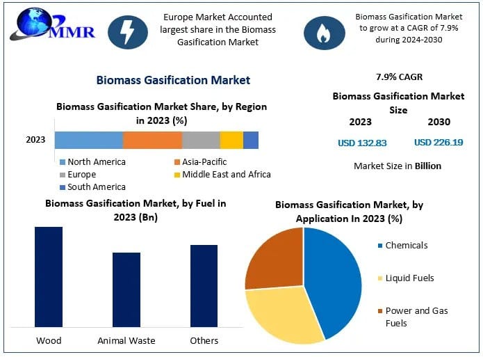 Biomass Gasification Market Forecast and Trends (2024-2030)