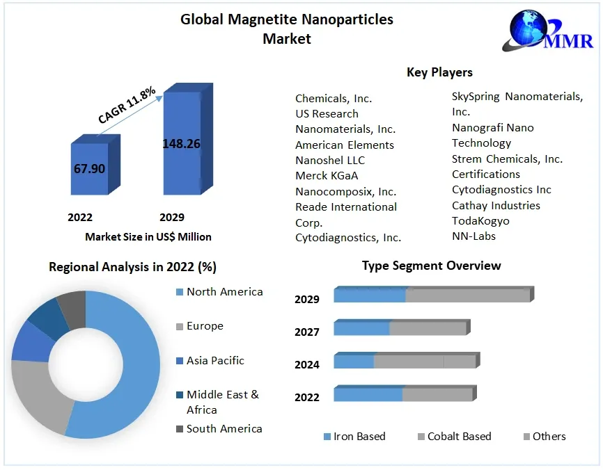 Magnetite Nanoparticles Market: Global Industry Analysis and Forecast (2023-2029)