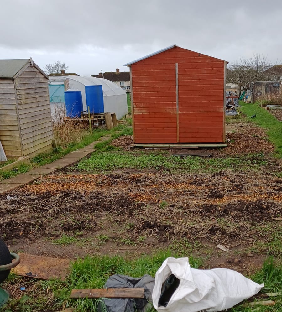 Down at the Allotment