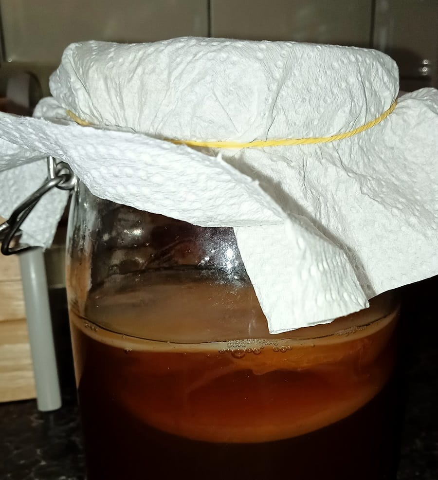 Fermenting and Growing in a Devon Flat