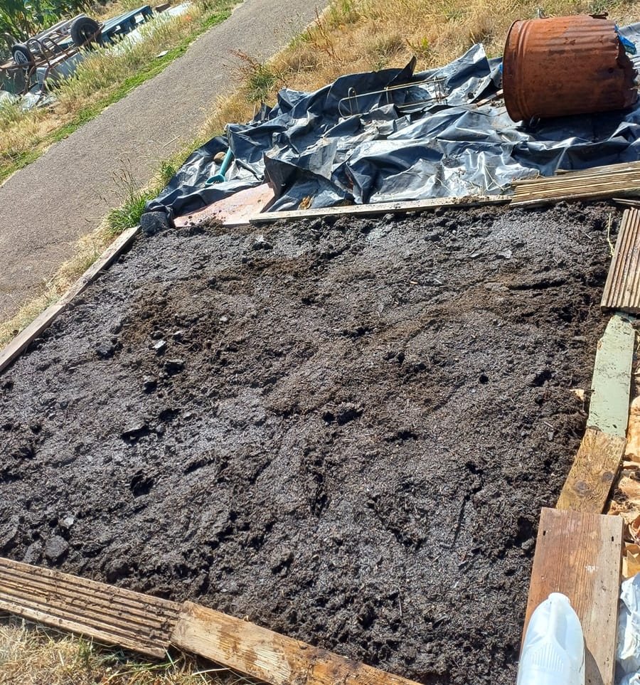 Allotment Growth
