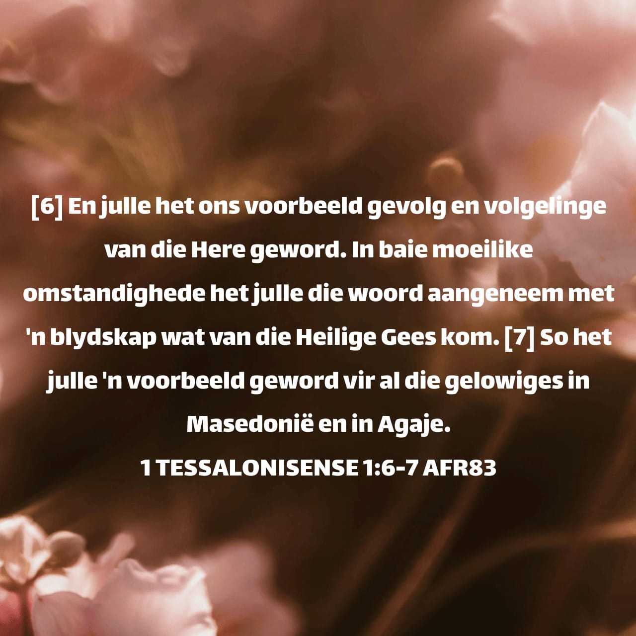 11 April - Geloof wat getuig