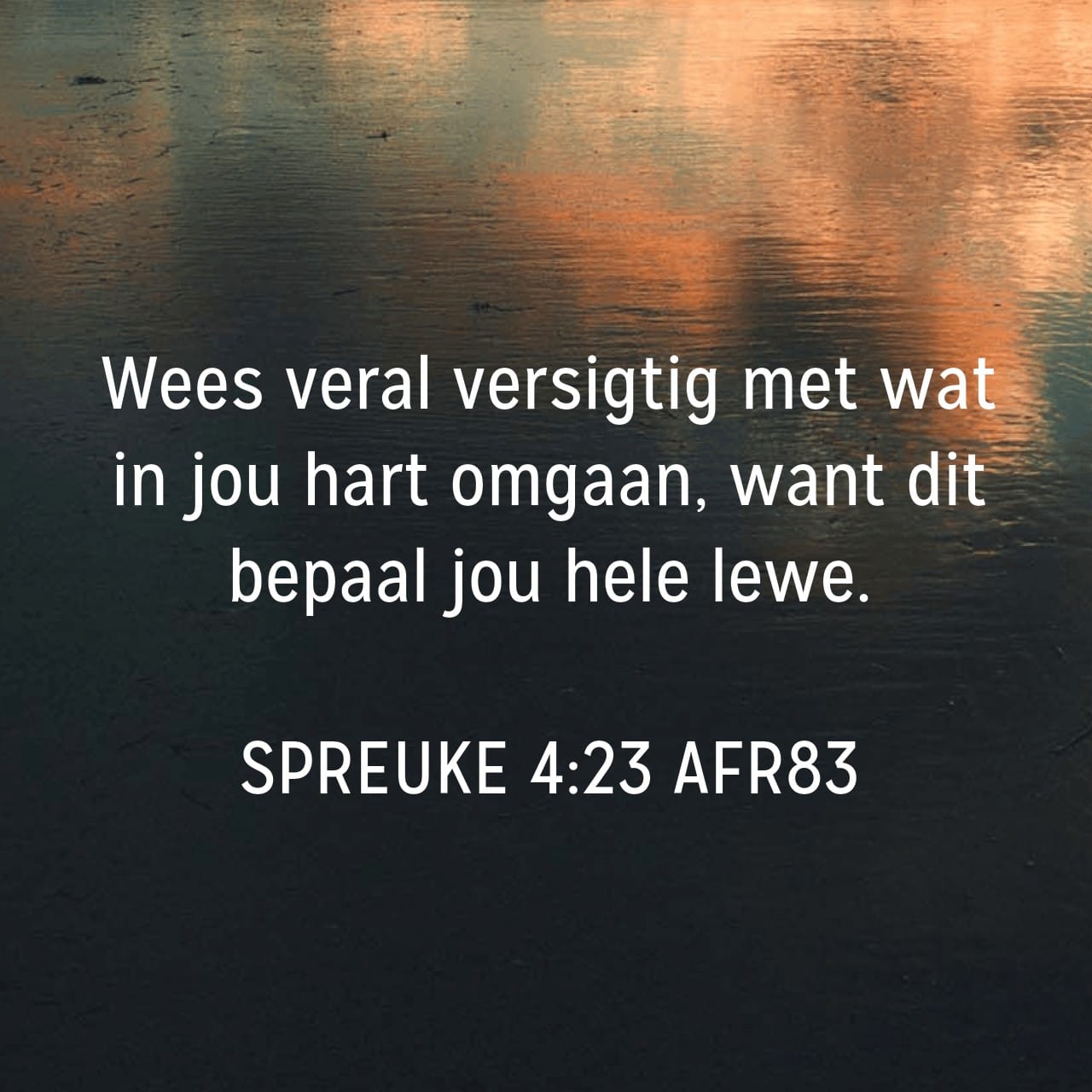1 Mei – Gedagtes bepaal rigting