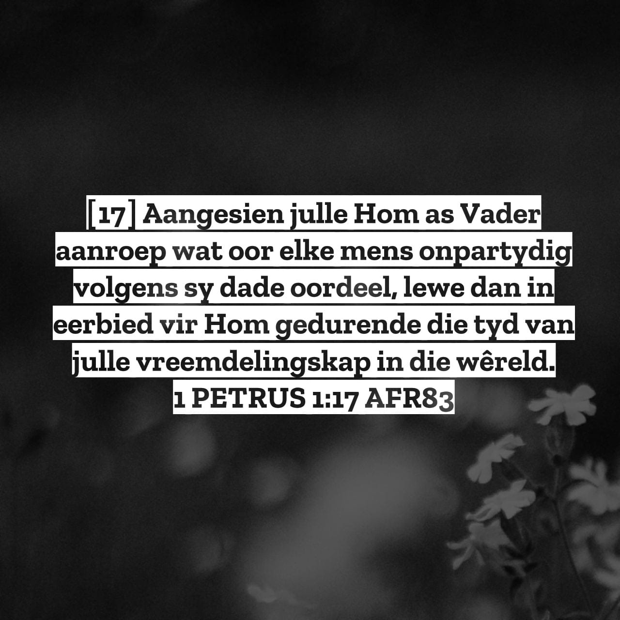 9 Mei - Lewe in eerbied