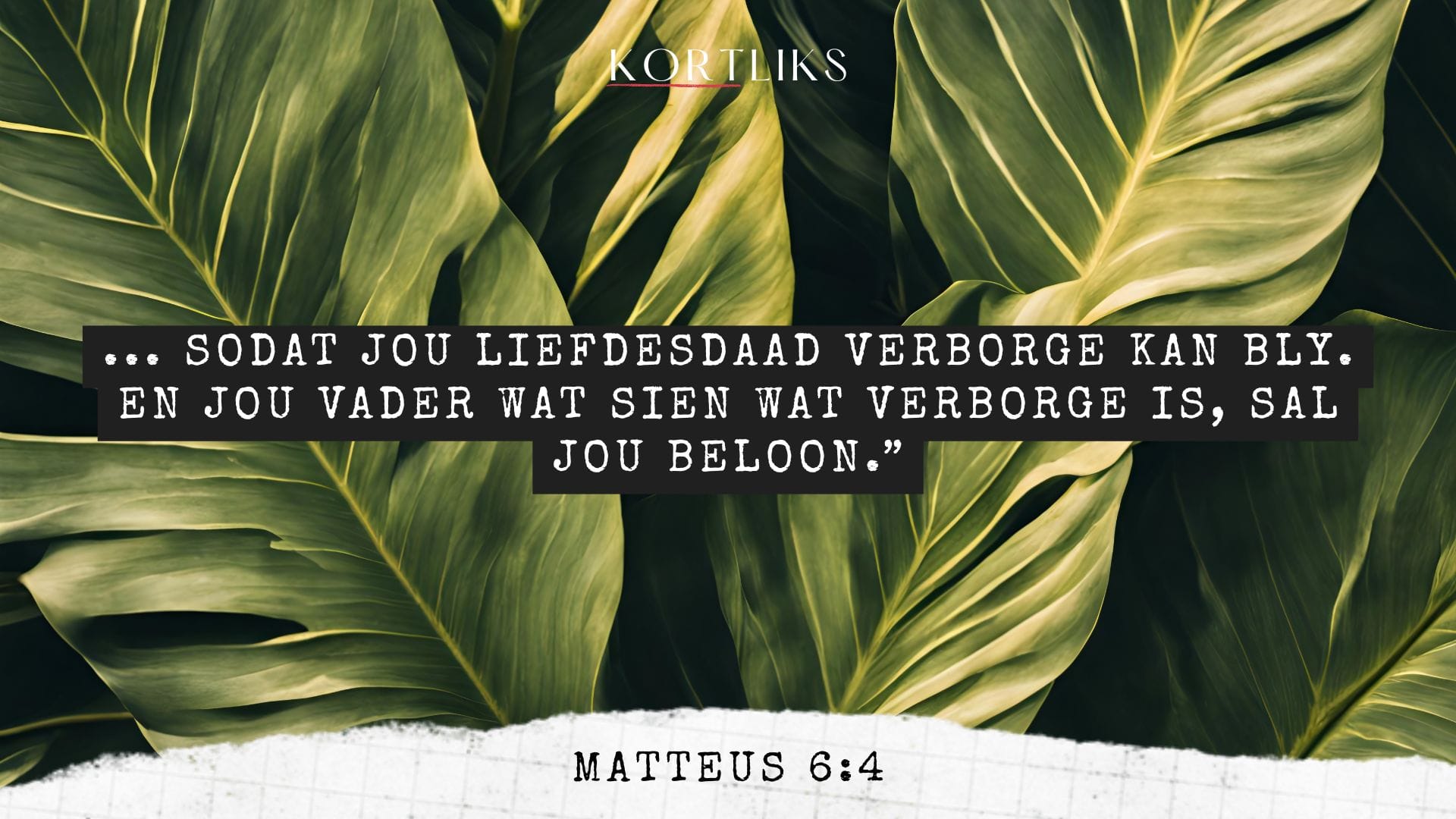 17 Junie – Getrou sonder erkenning