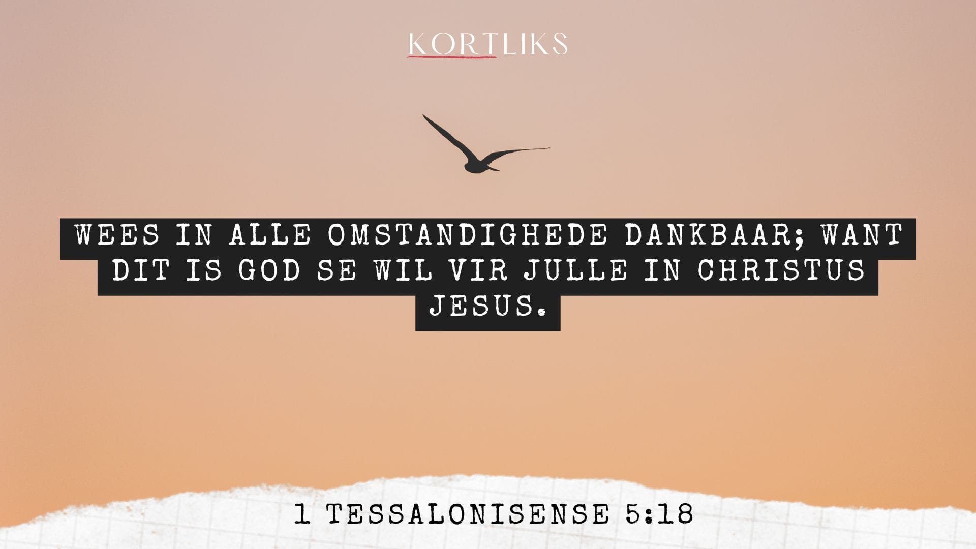 21 Junie – Dankbaar vir werk
