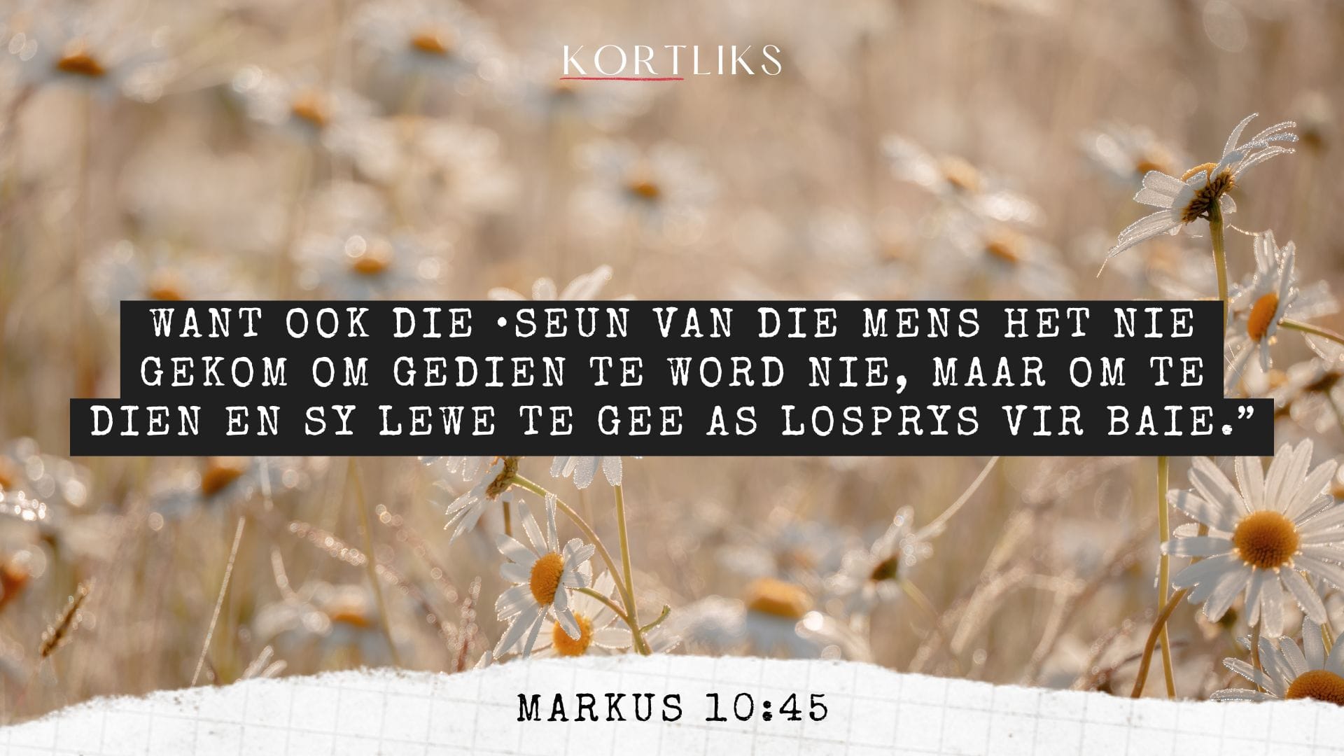 27 Junie – Werk as diens