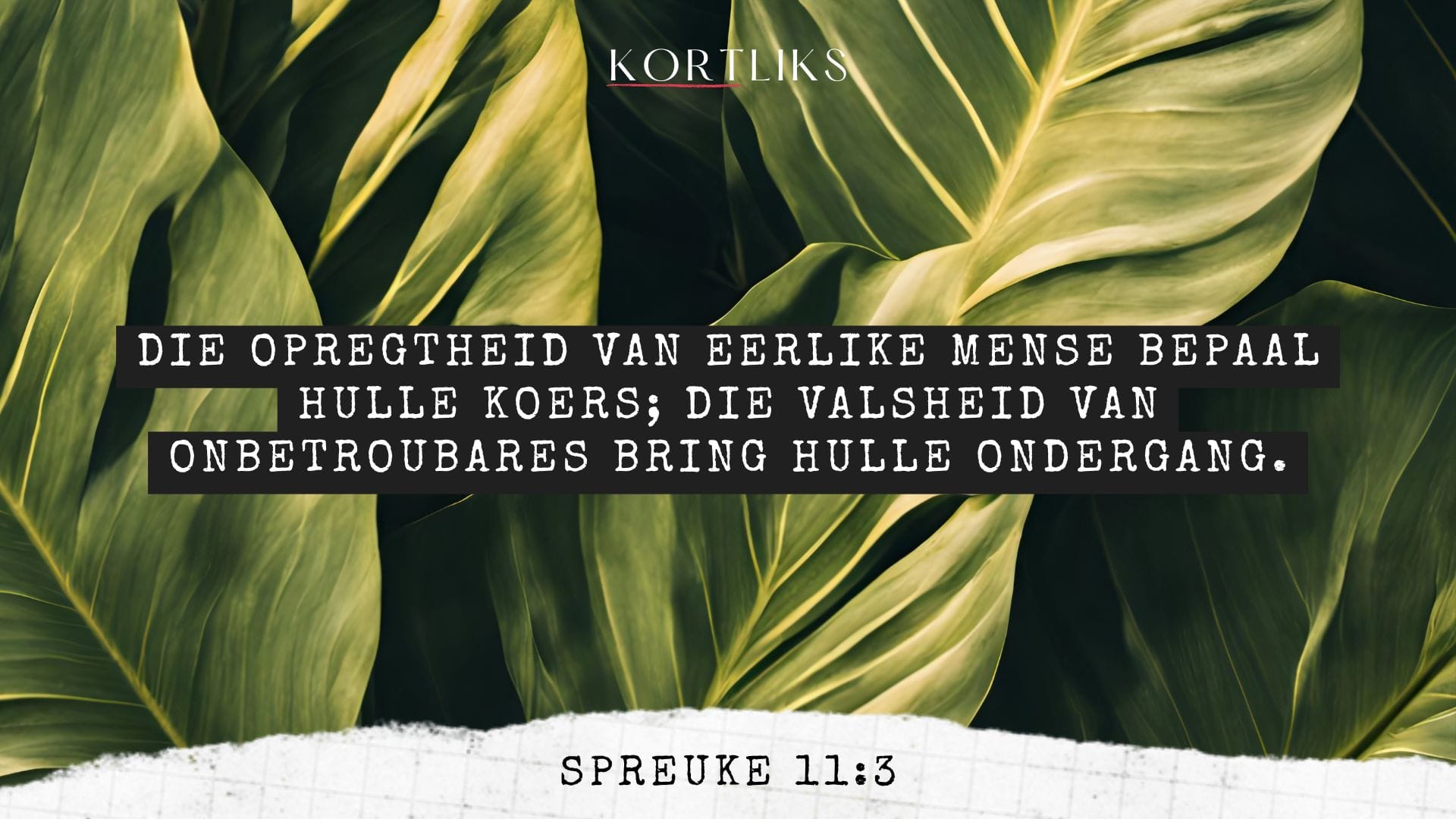 5 Junie – Integriteit elke dag