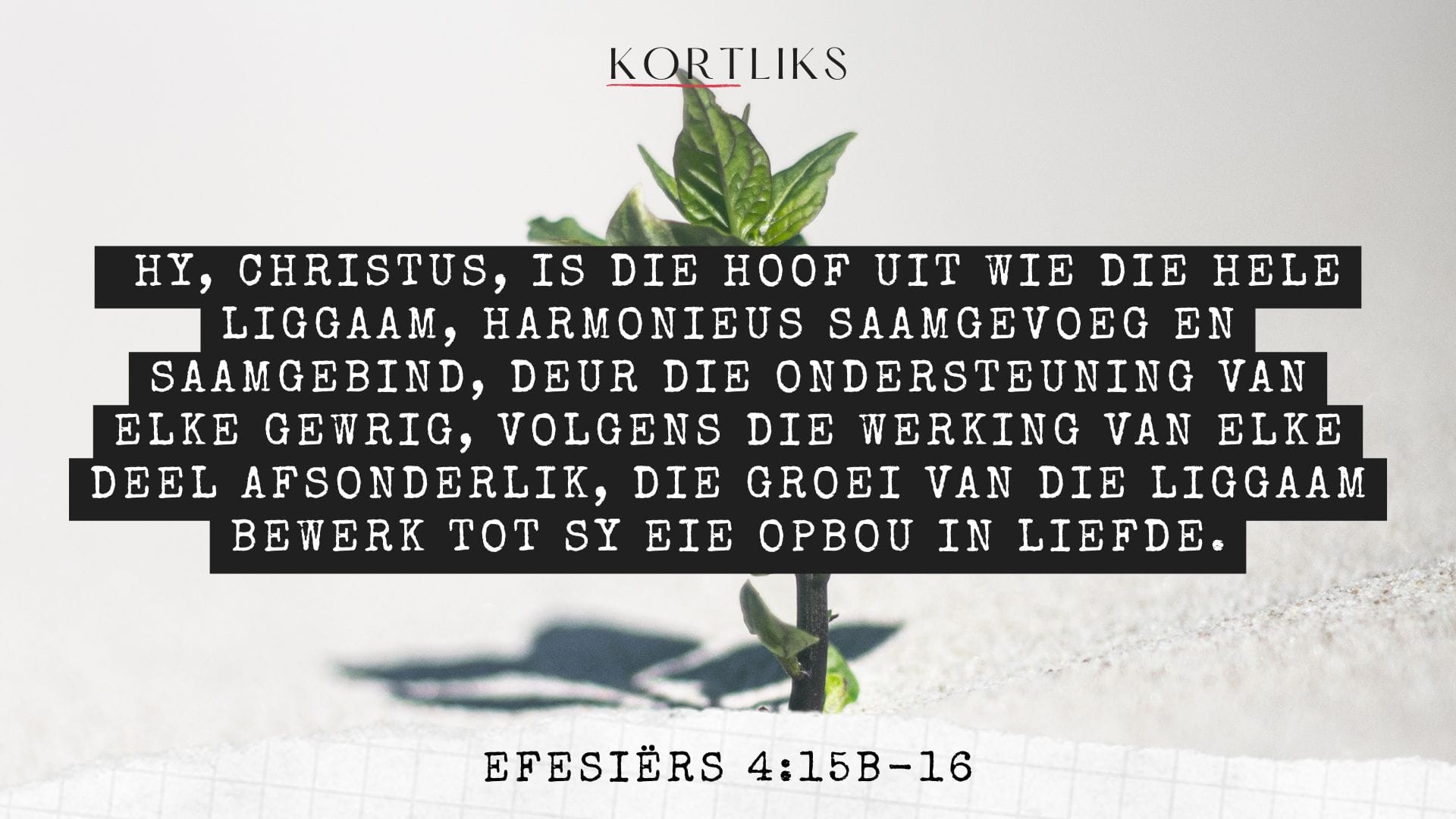 7 Julie – Saam groei ons
