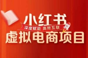 小红书虚拟电商从0到1，让你从小白到精英（20节实操课程）