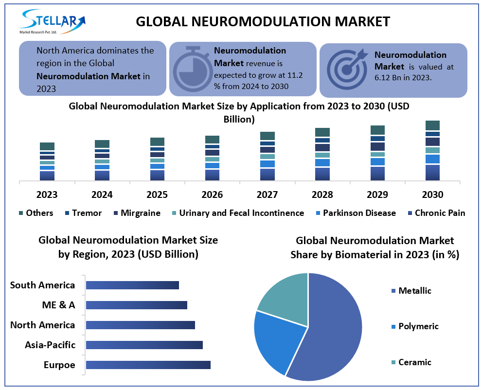 Neuromodulation Market Research Statistics And Opportunities Assessment 2030