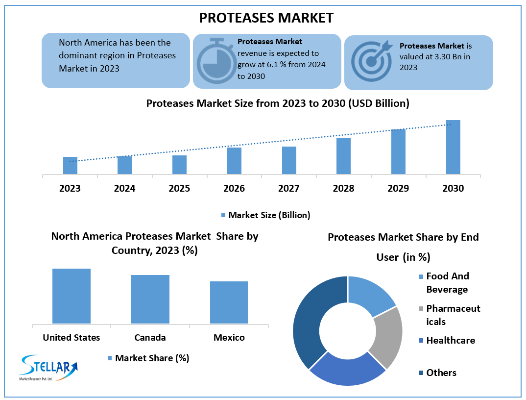 Proteases Market Expected to Flourish Amid Growing Enzyme Therapy Applications in Healthcare by 2030