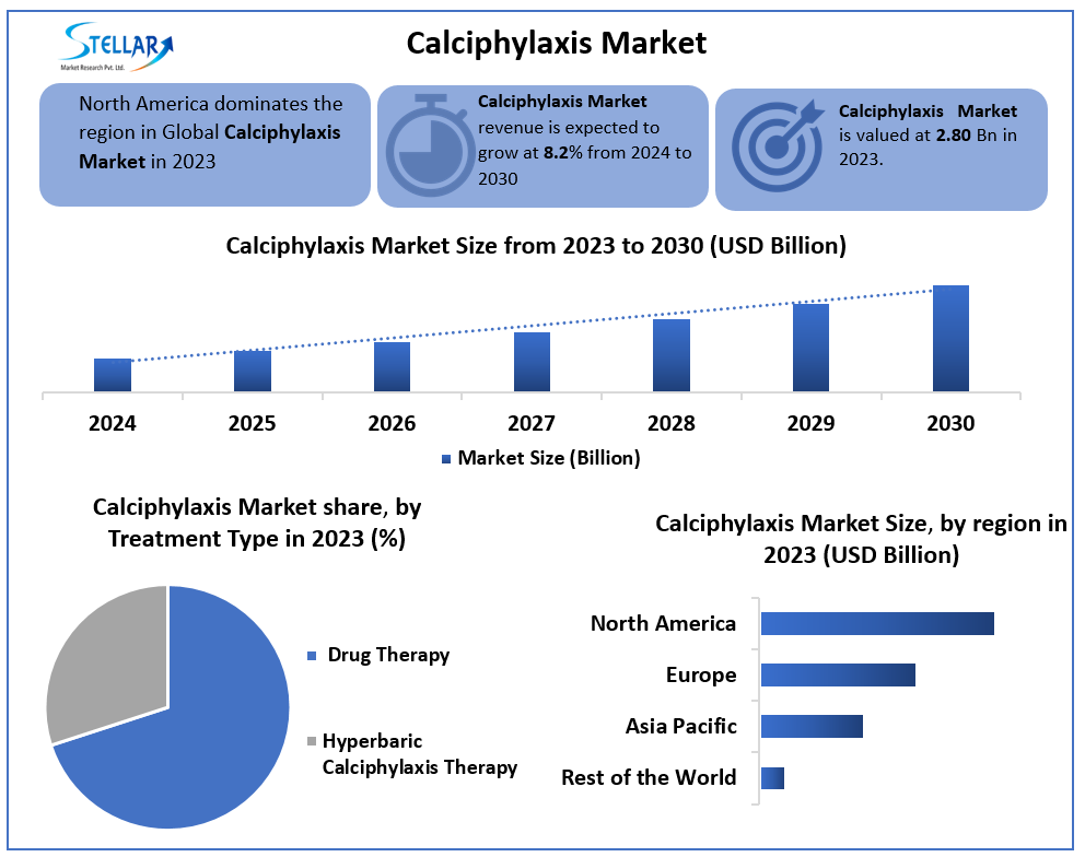 Calciphylaxis Market Insights 2024: Growth Dynamics, Competitive Landscape, and Forecast 2030