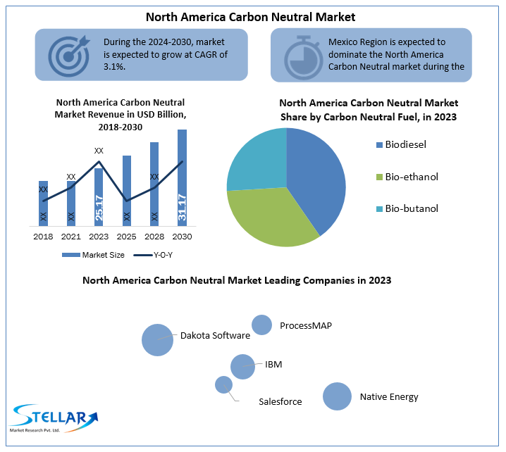 North America Carbon Neutral Market Future Growth, Trends, Development Status and Forecast 2030