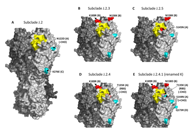 Die Grippewelle beginnt unüblich früh