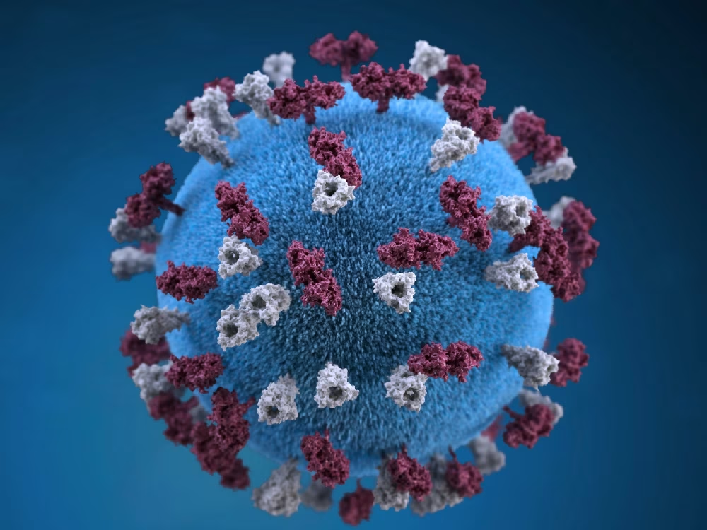 Die Rückkehr der Masern