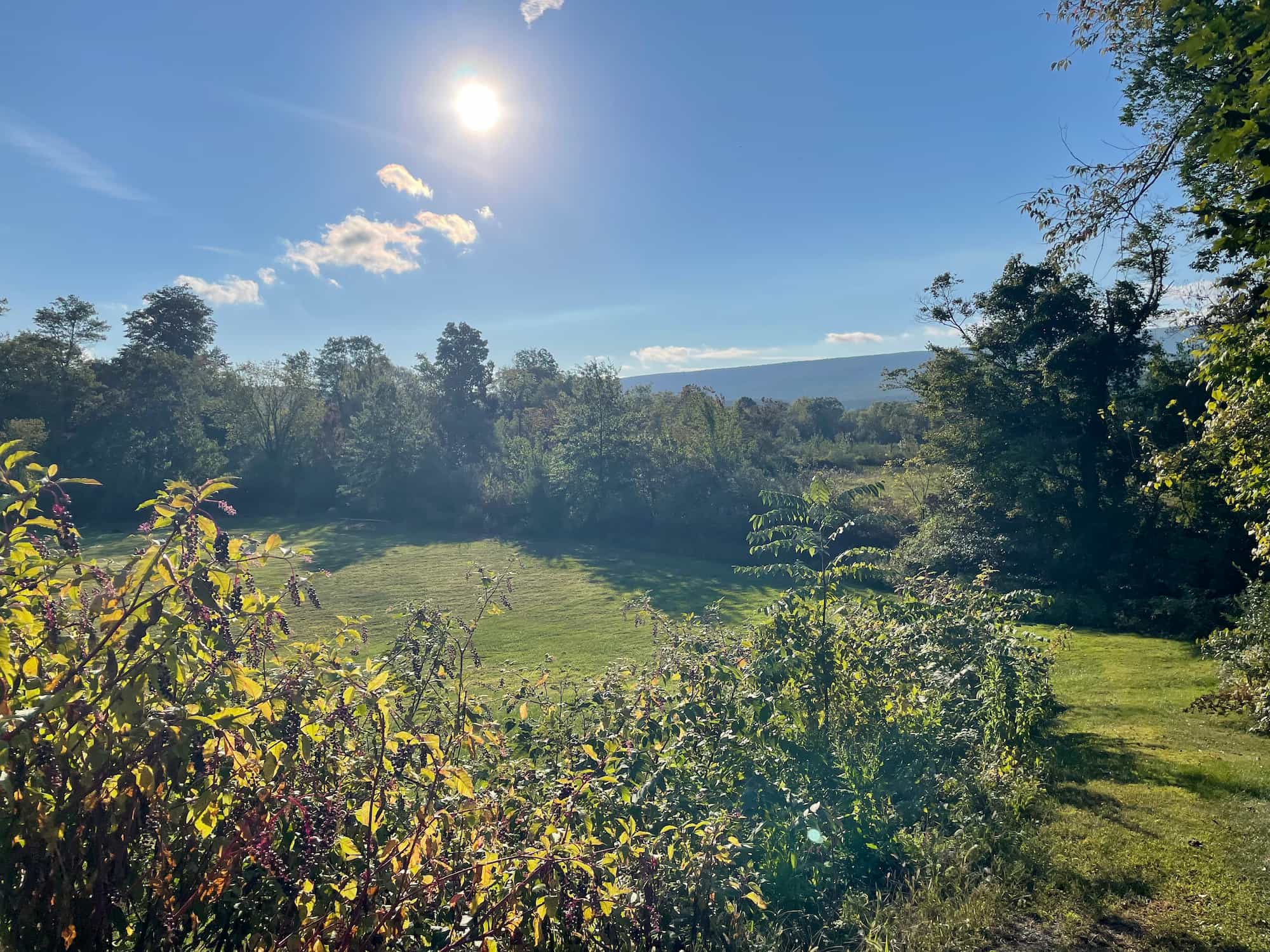 The Peacemobile Goes to the Doctor