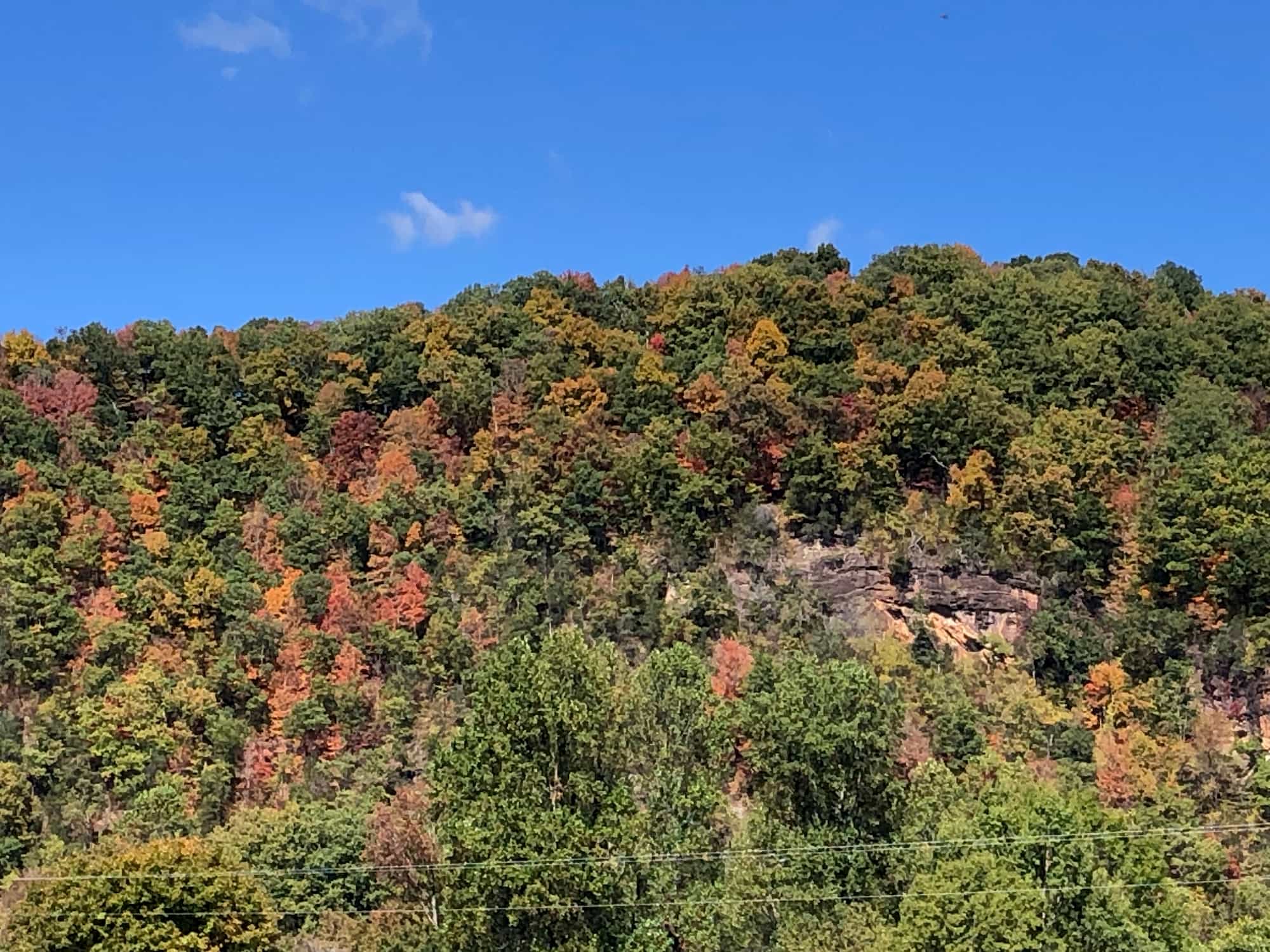 Reluctantly Back to Reality