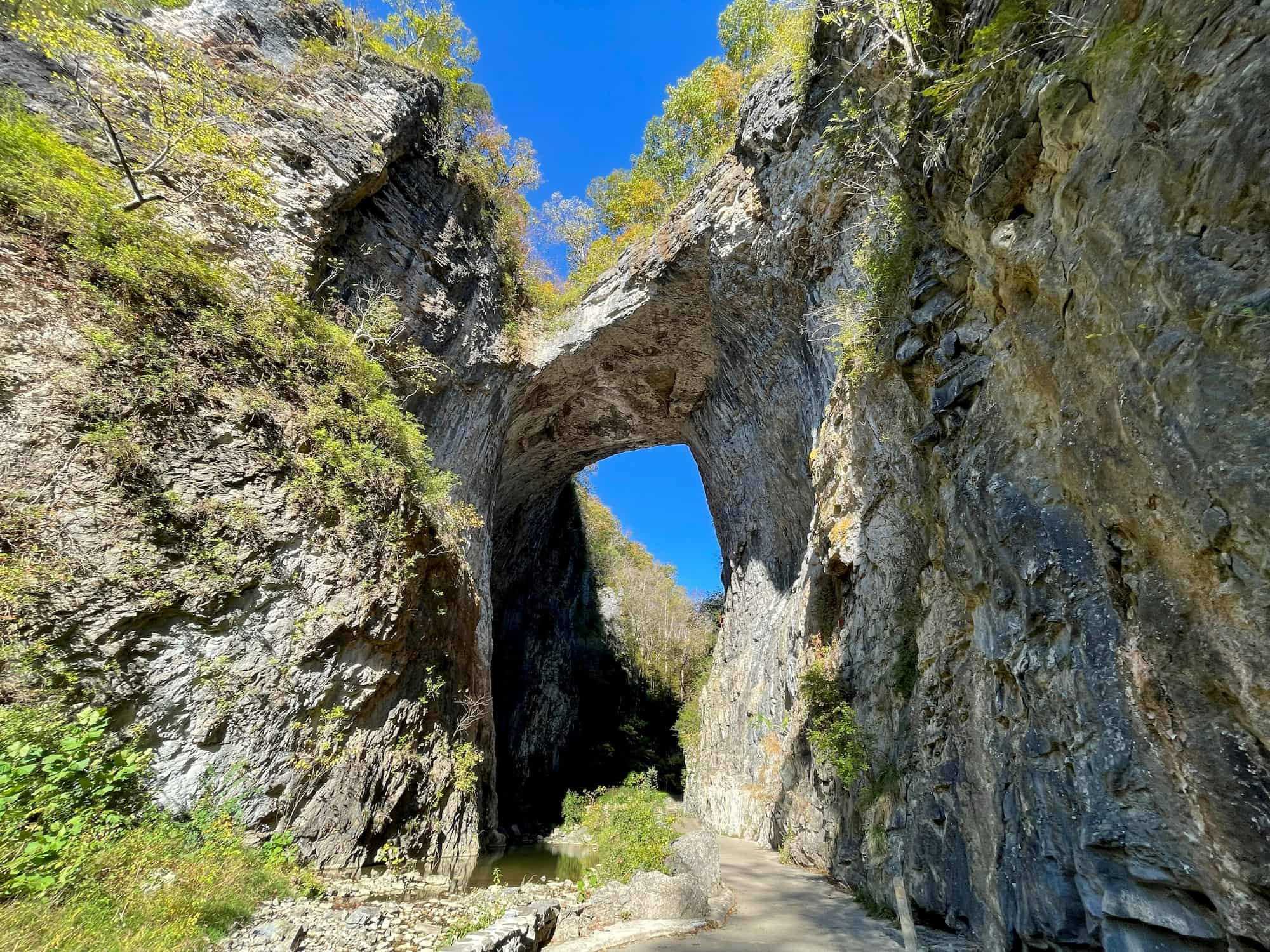 Adventures in the Virginias