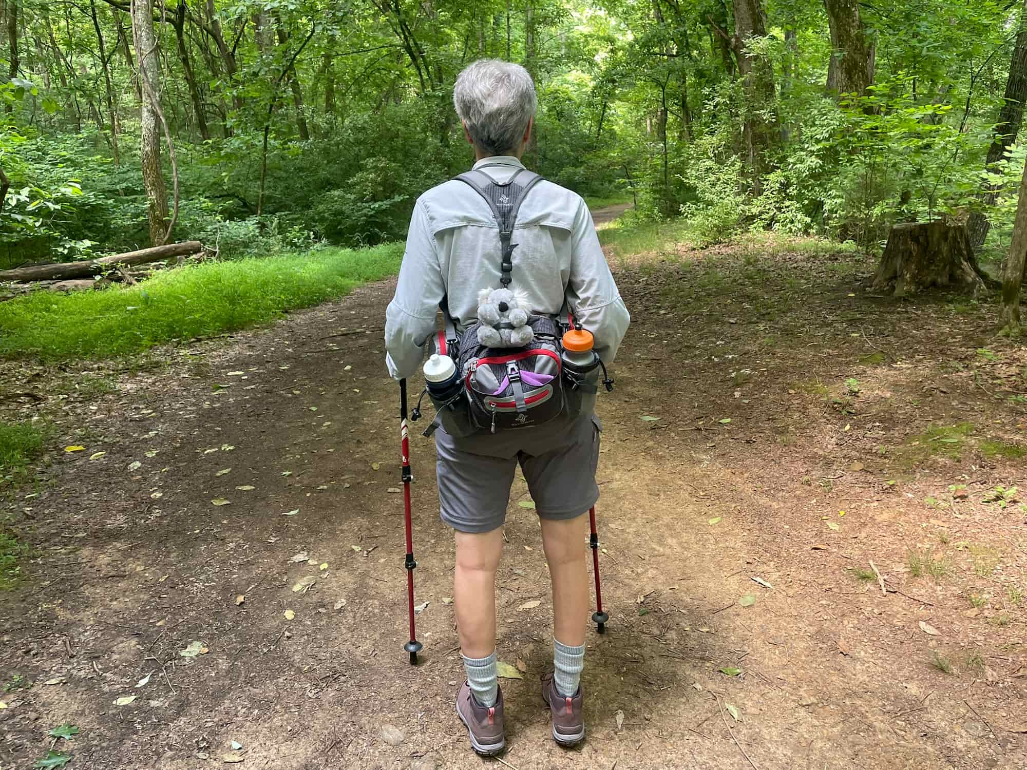 Kampy's First Hike
