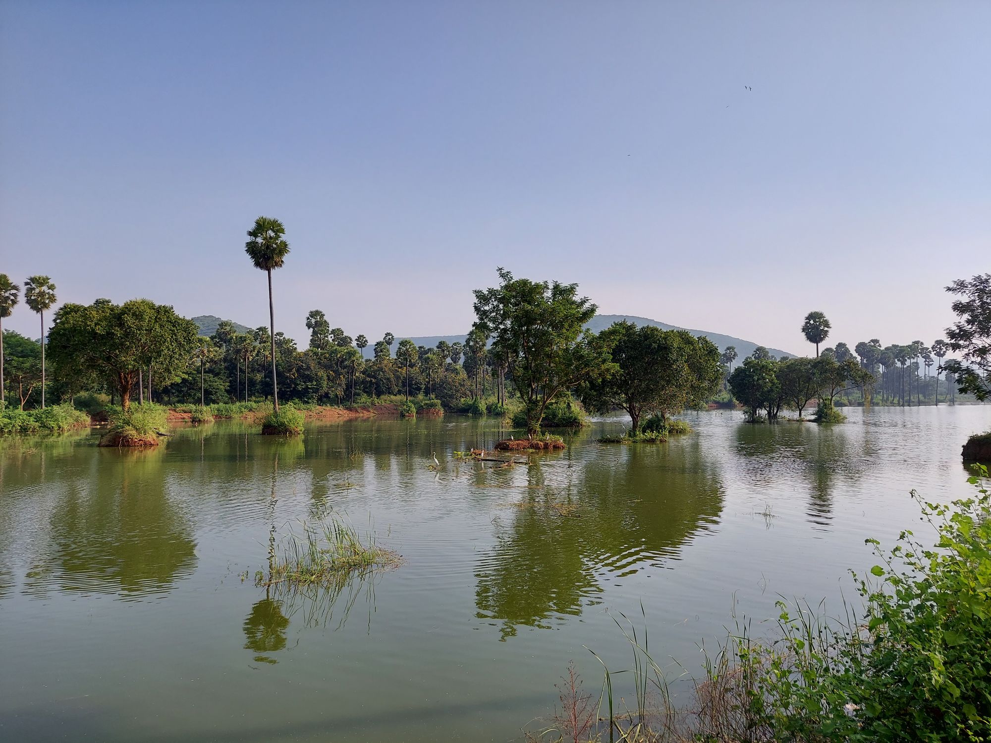 Environmental education and the reservoirs of Vizag