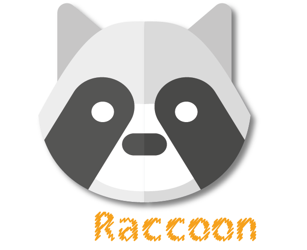 Why did I create codeRaccoon?