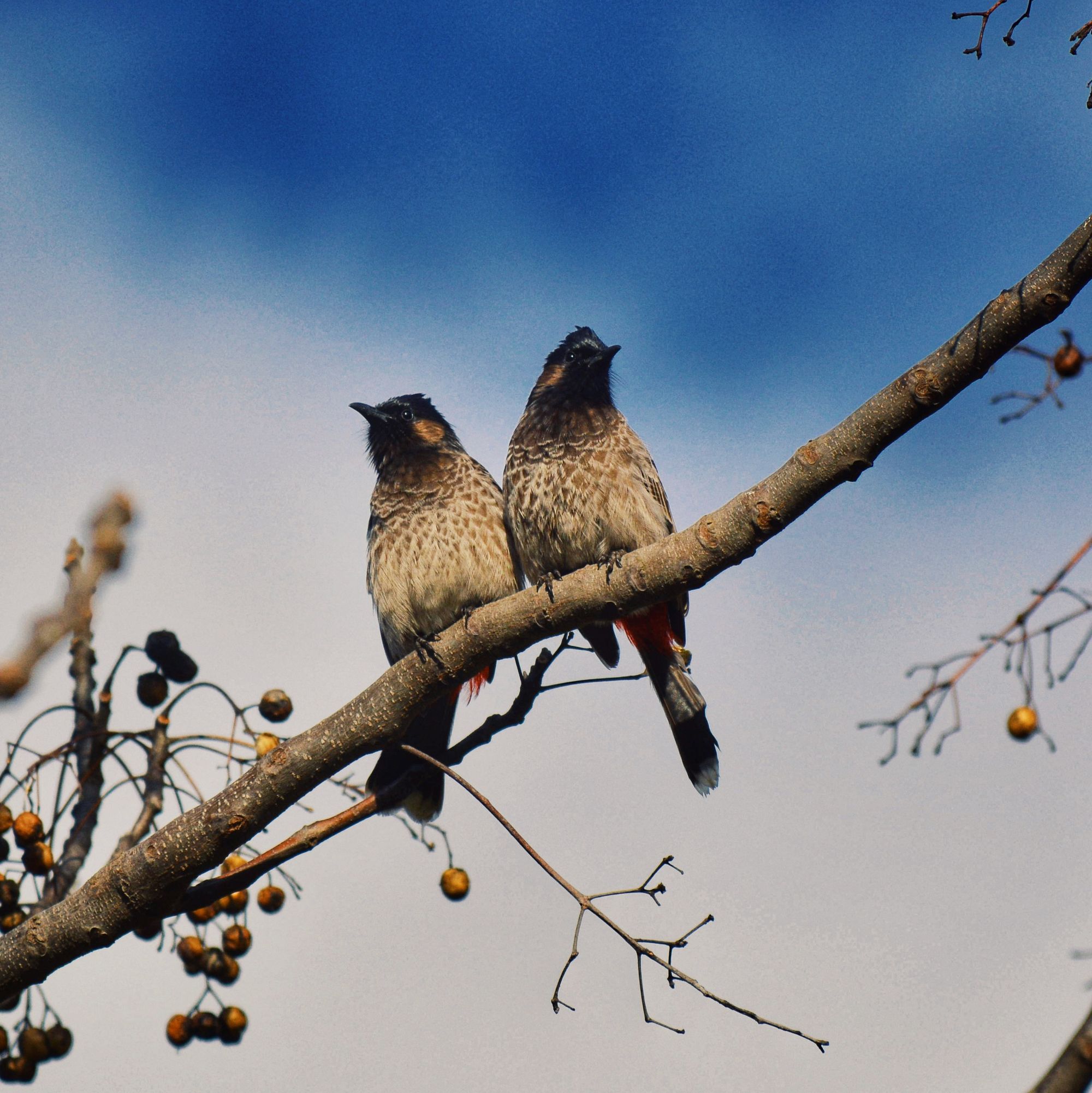 Edge of Uncertainty.