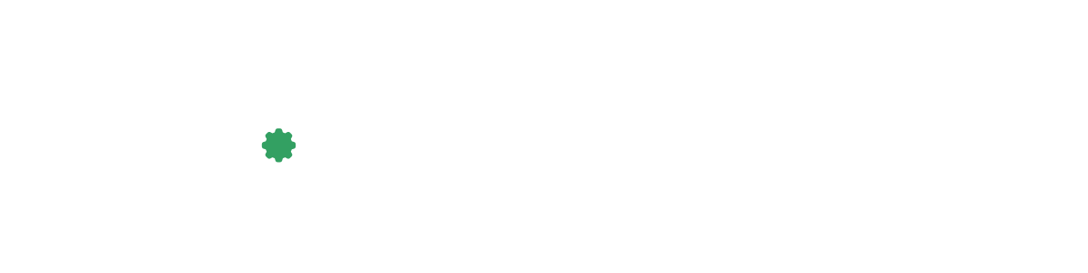 Il Cibernetico