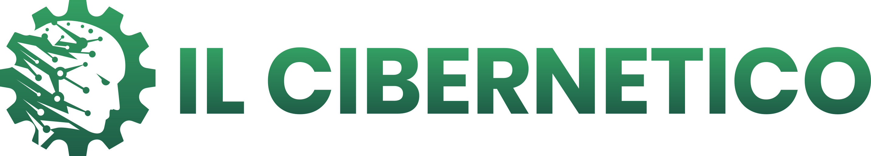 Il Cibernetico