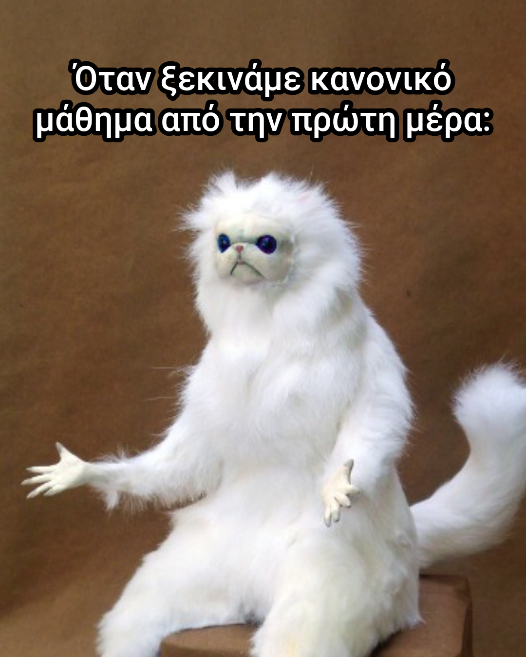 🥹 Η πρώτη εβδομάδα στη σχολή (αν ήταν memes)