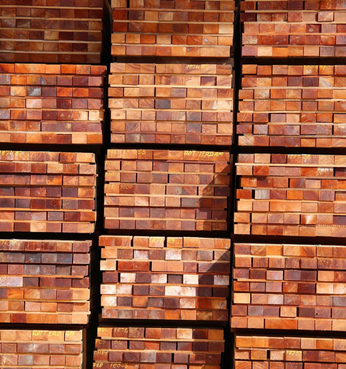 FSC confirmă continuarea parteneriatului său cu WOB Timber în urma succesului măsurilor