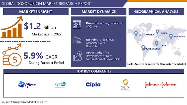 Global Doxorubicin market Worldwide Opportunities, Driving Forces, Future Potential 2032