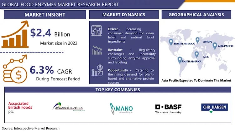 Global Food Enzymes Market: USD 4.1 Billion By 2032 And Expected To Grow At A CAGR Of 6.3%