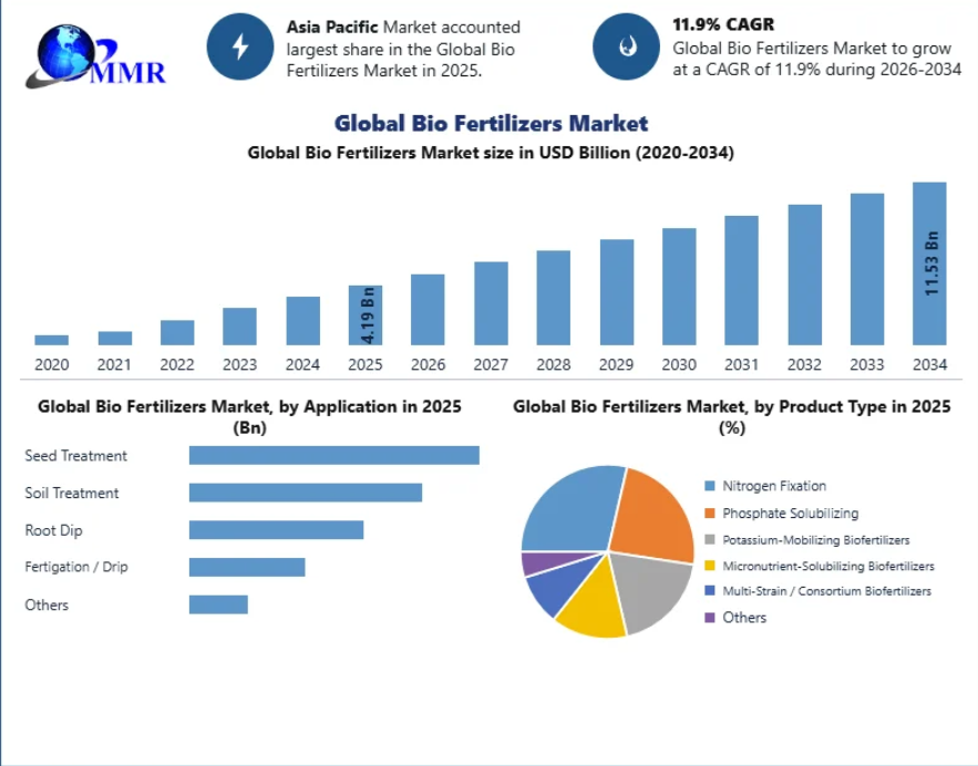 Bio Fertilizers Market Size, Growth, Trends and Forecast Through 2034