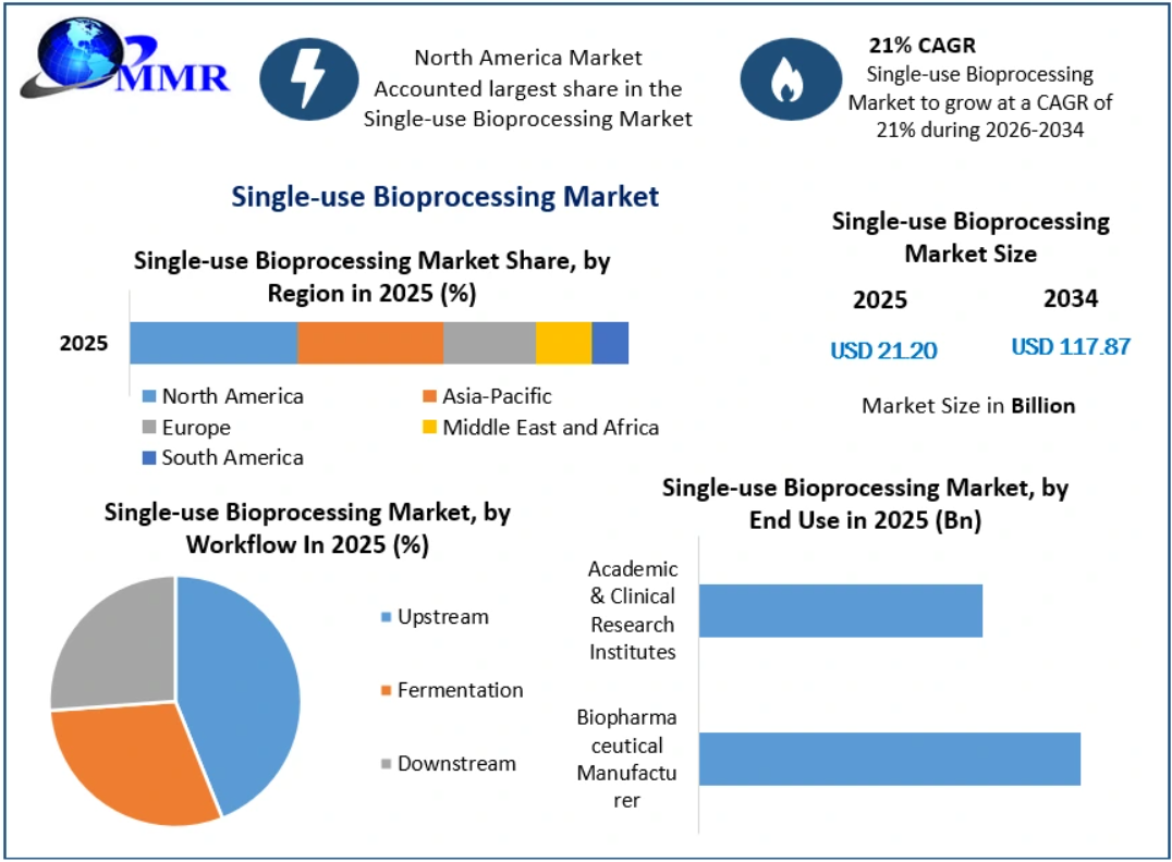 Single-use Bioprocessing Market Key Players, Product Developments, and Competitive Strategies Through 2034