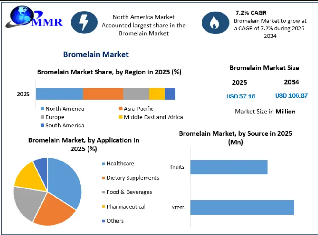 Bromelain Market: Rising Demand for Natural Enzymes Through 2034