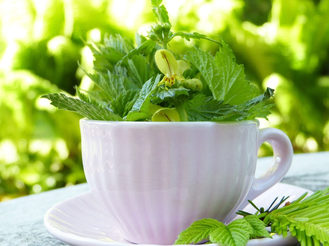 Green Tea Detox