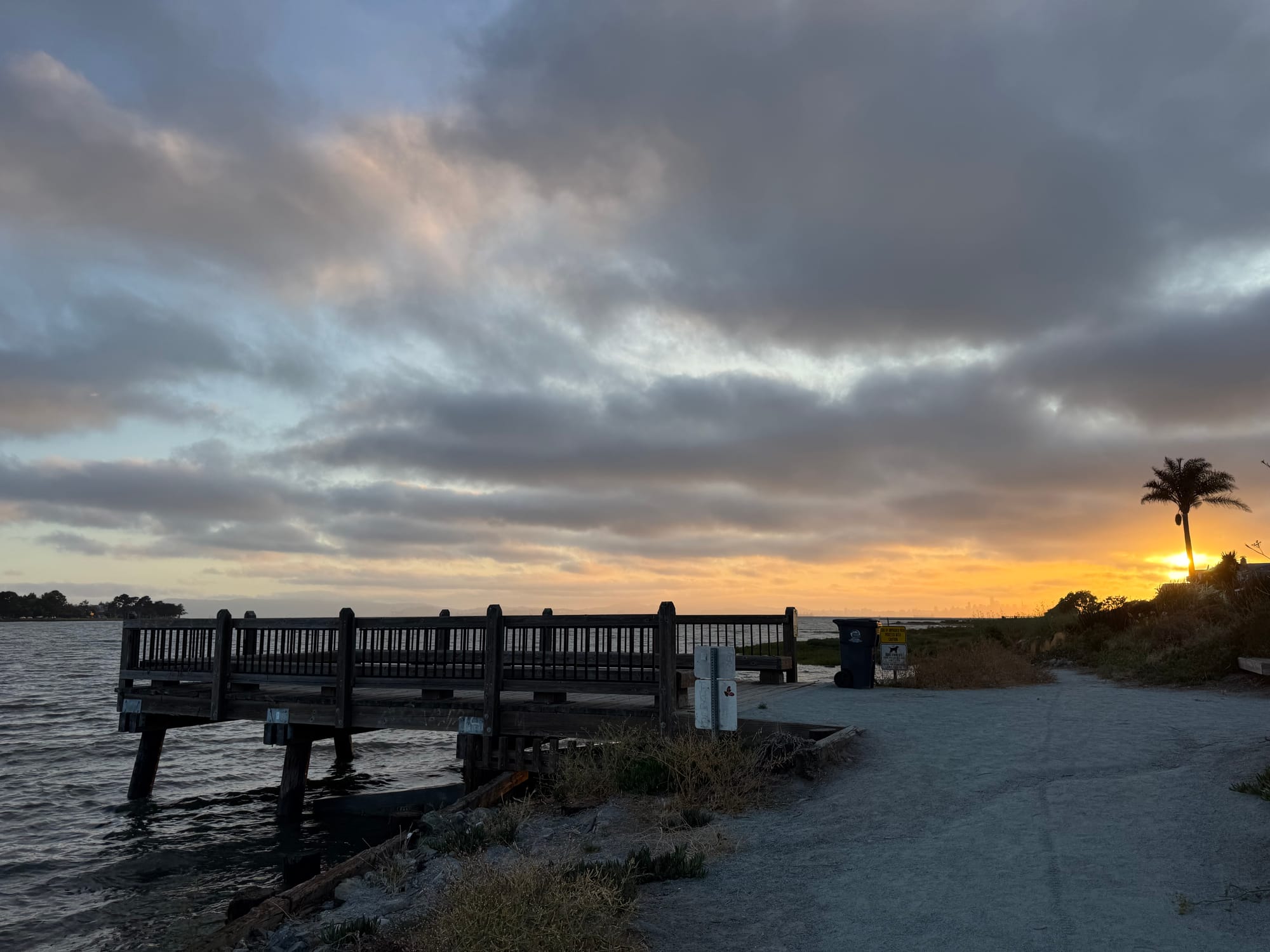 A Dog Day in Alameda