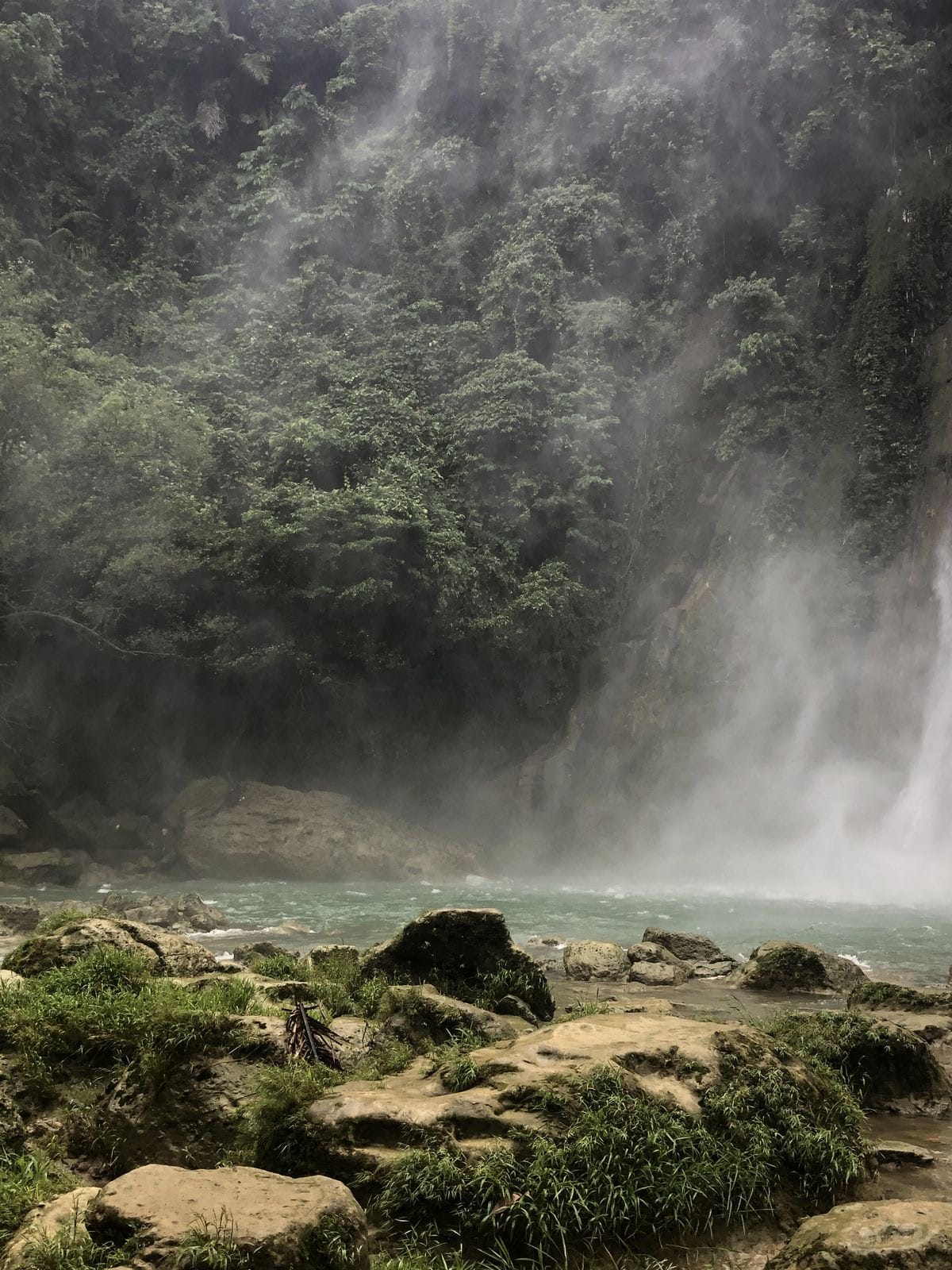 septiembre: más vida
