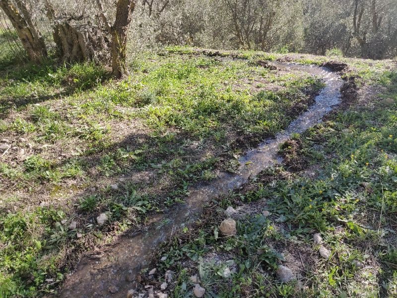 "Water, Water, Everywhere" in the Alpujarras