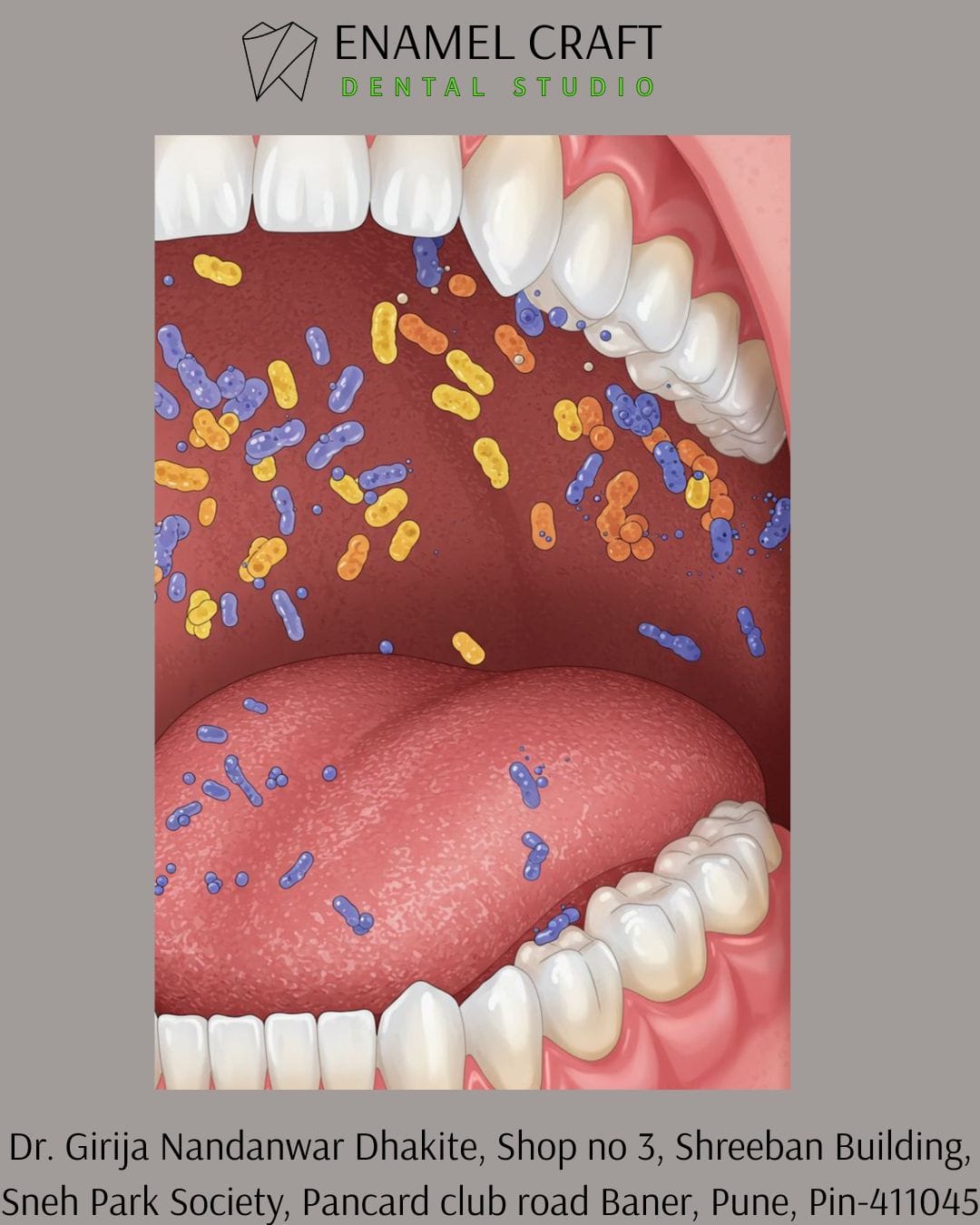 Oral Microbiome & Gut Health Connection- Dentist in Baner